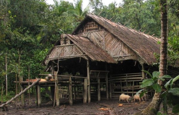 Rumah adat Uma, Salah Satu Budaya Indonesia Yang Terkenal